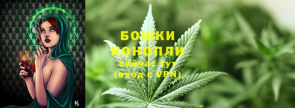 стаф Волосово