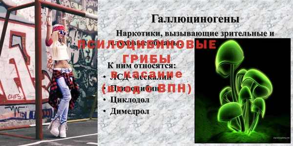 стаф Волосово