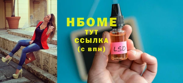 стаф Волосово