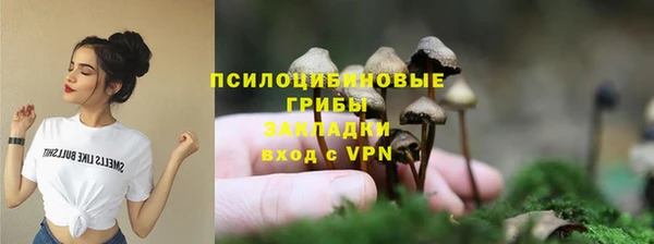 стаф Волосово