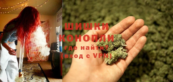 стаф Волосово