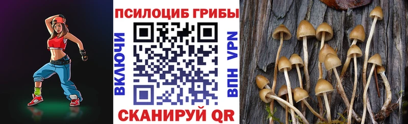 Купить  Минусинск  Галлюциногенные грибы мухоморы 